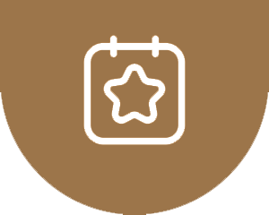 Custom Website Design & Development