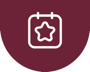 Custom Website Design & Development